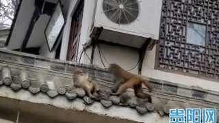 milan米兰app官网