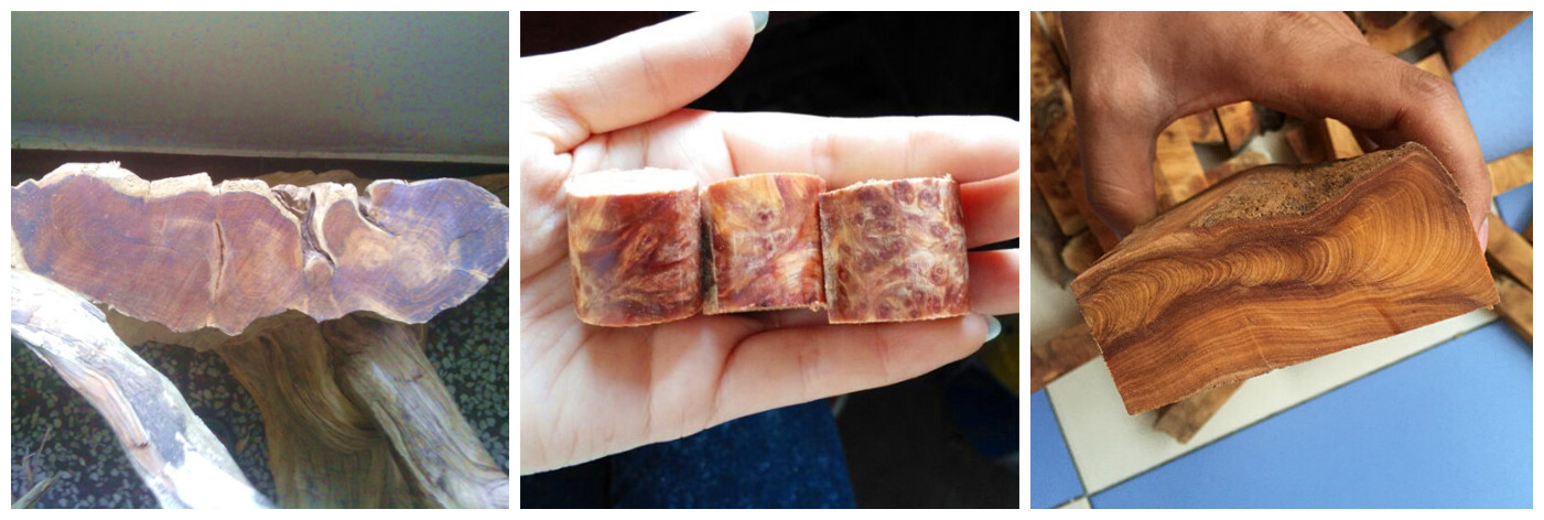 目前桂鱼多少钱一斤?清蒸桂鱼的做法_milan米兰(图2) 米兰官方网站