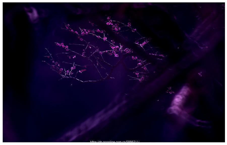 milan米兰app官网