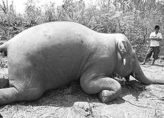 马丁内斯:淘汰赛一切皆有可能_milan米兰(图1) 米兰官方网站