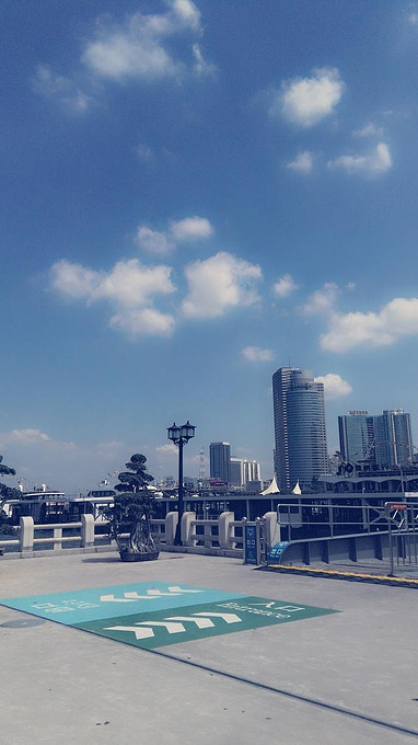 花叶美人蕉受追捧,专家教你如何养殖_milan米兰app官网