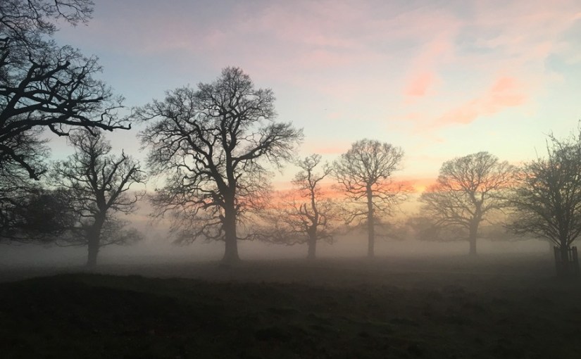 谷歌云牵手全球7家开源公司力抗亚马逊AWS‘milan米兰app官网’(图1) milan米兰