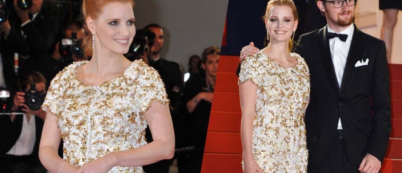 milan米兰app官网|2017年11月22日猪价行情汇总