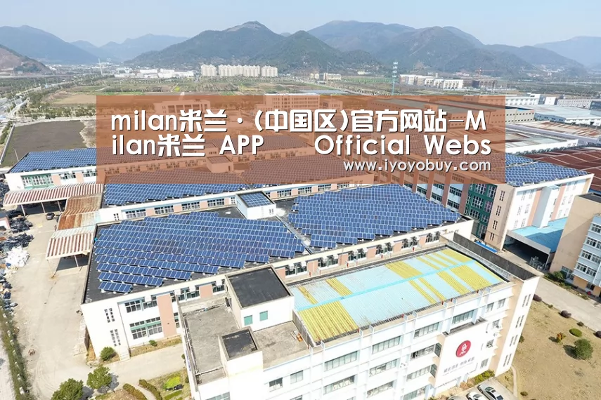 案例展示二