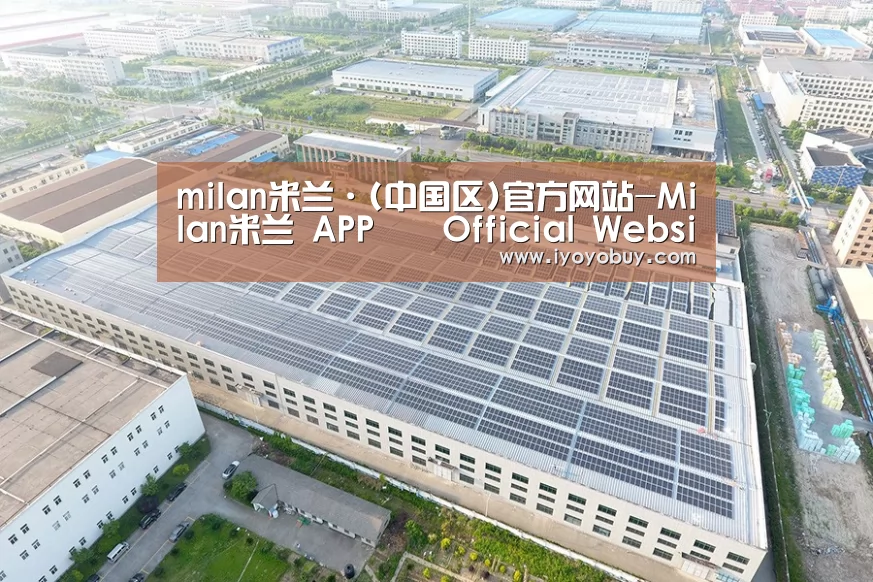 案例展示一