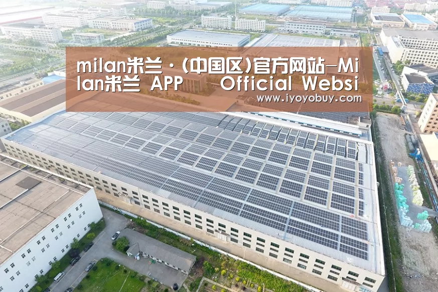 案例展示二