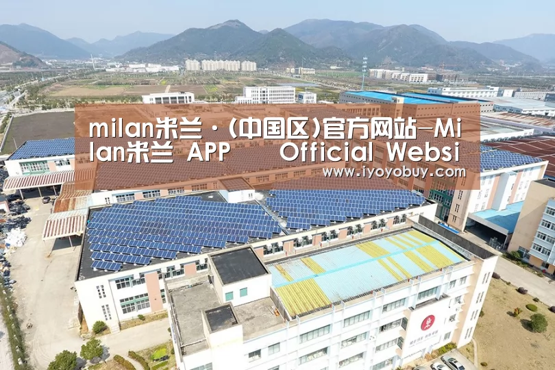 案例展示一