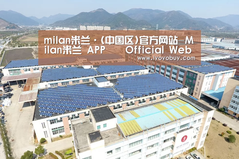案例展示四
