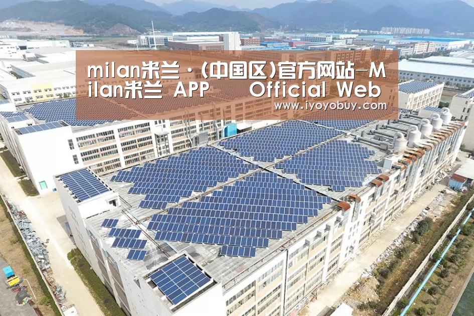 案例展示三
