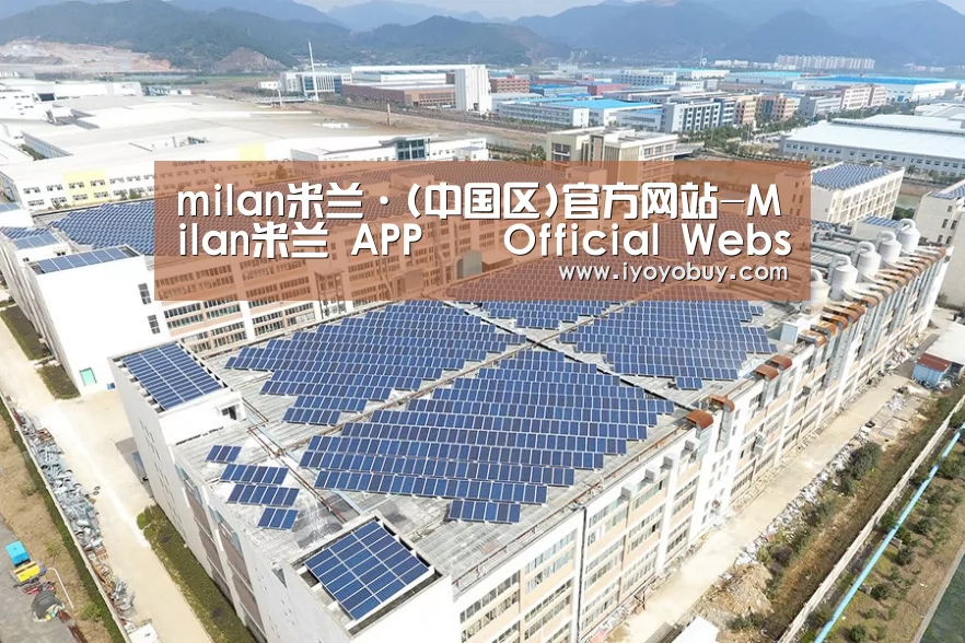 案例展示二