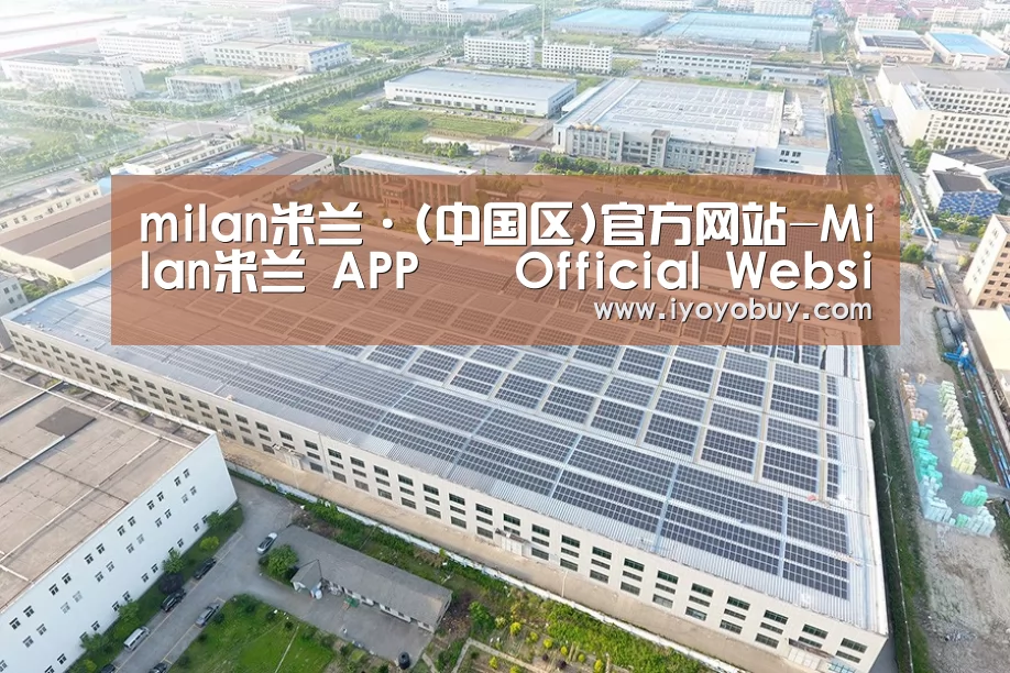 案例展示二