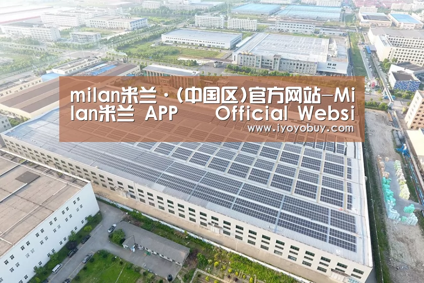 案例展示三