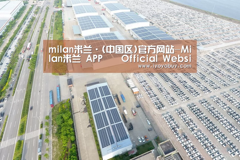 案例展示一