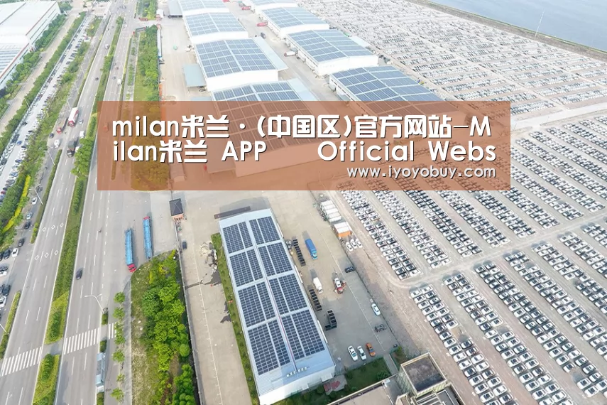 案例展示一