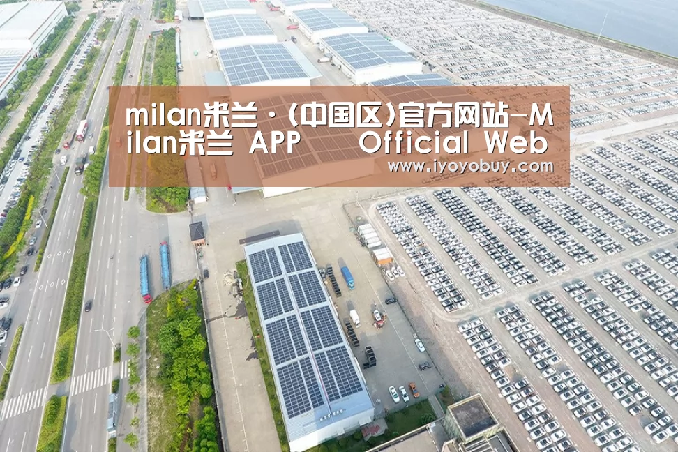 案例展示二