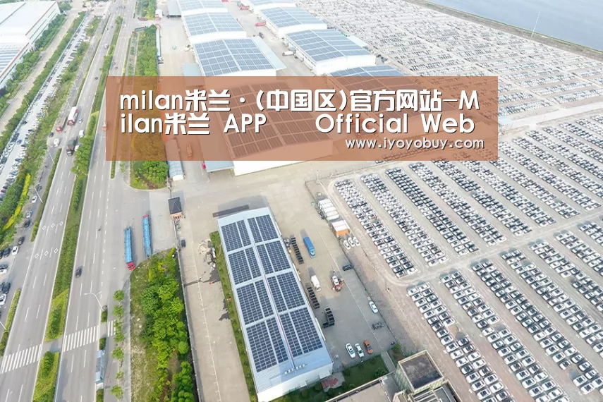 案例展示三
