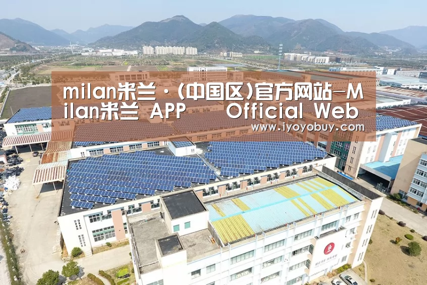 案例展示三