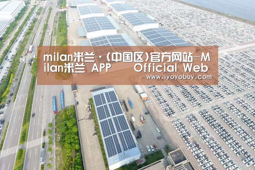 案例展示四