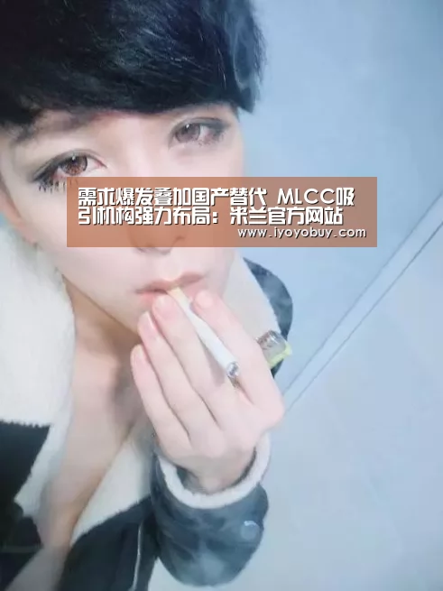 需求爆发叠加国产替代 MLCC吸引机构强力布局:米兰官方网站(图3) milan米兰app官网