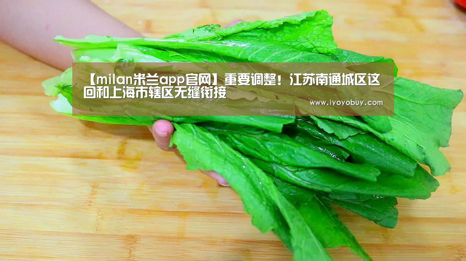 milan米兰app官网