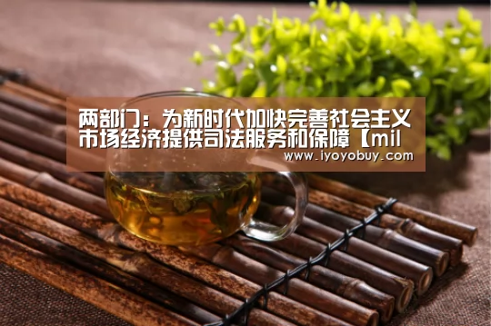 两部门:为新时代加快完善社会主义市场经济提供司法服务和保障【milan米兰】(图2) 米兰官方网站