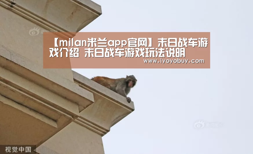米兰官方网站