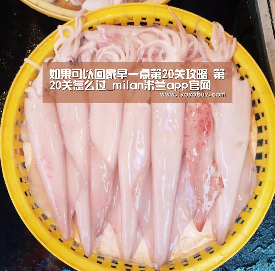 milan米兰app官网