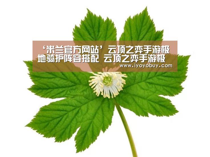 milan米兰