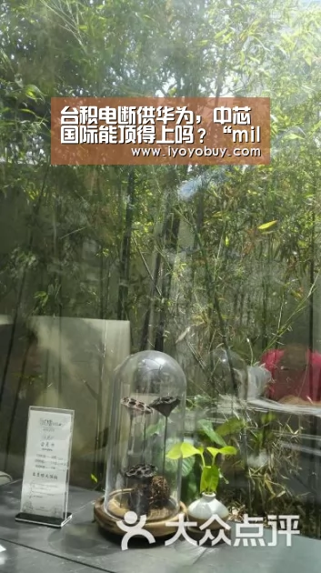 台积电断供华为,中芯国际能顶得上吗?“milan米兰app官网”(图1) 米兰官方网站
