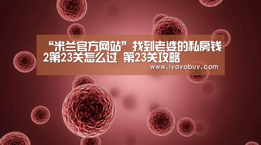 “米兰官方网站”找到老婆的私房钱2第23关怎么过 第23关攻略(图1) 米兰官方网站