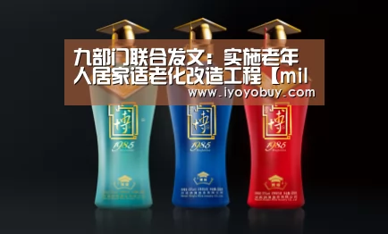 九部门联合发文:实施老年人居家适老化改造工程【milan米兰app官网】(图2) milan米兰app官网